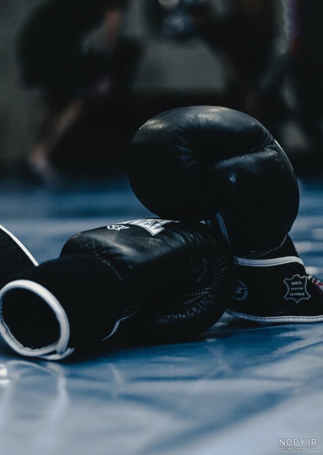 عکس بوکسوری عکس بوکسوری