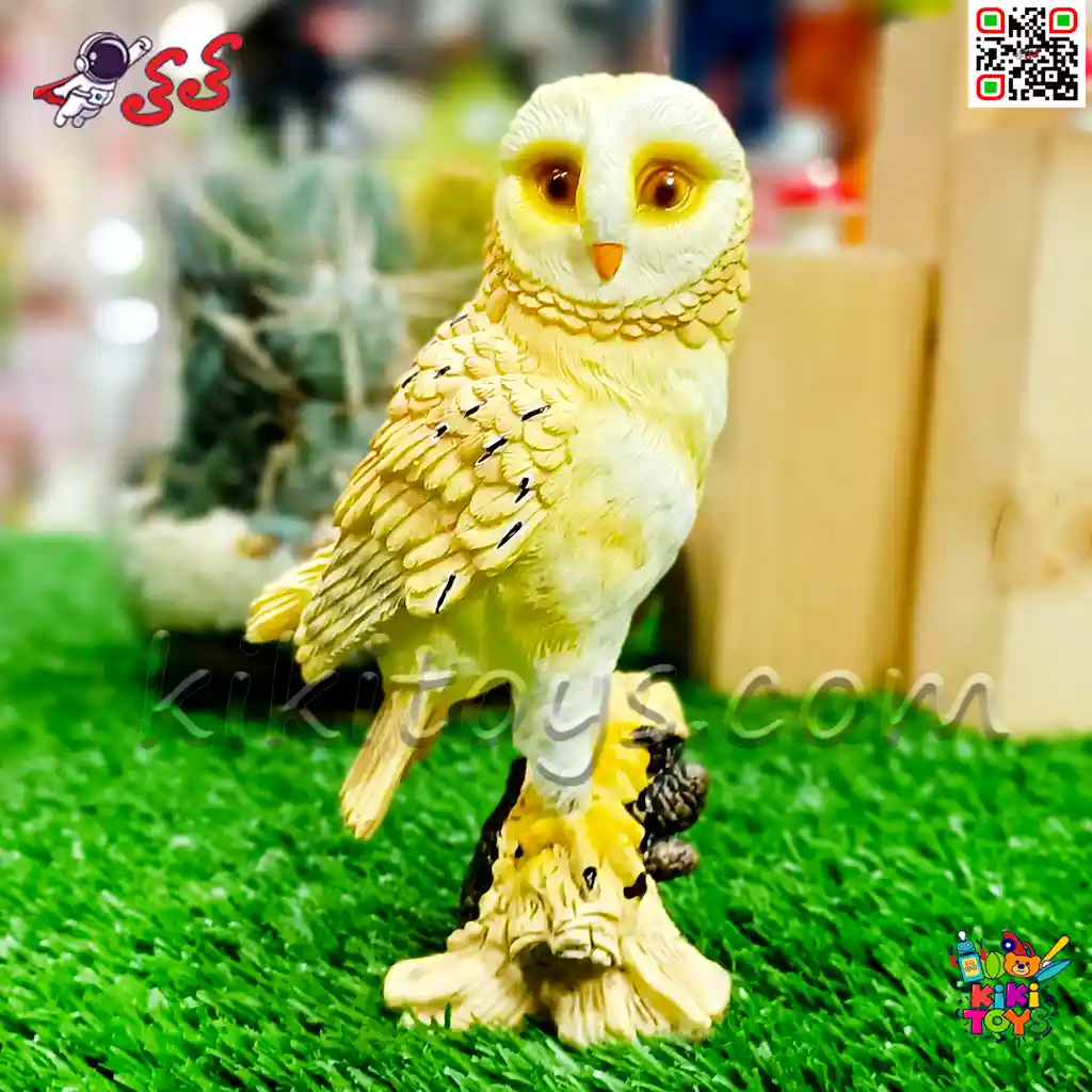 عکس بچه جغد ایرانی عکس بچه جغد ایرانی
