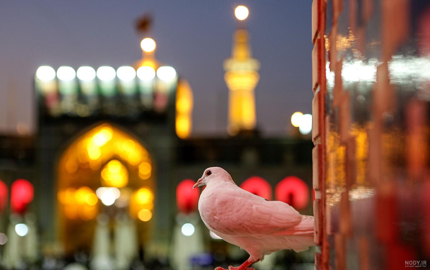 عکس حرم امام رضا طبیعی ❤️ [ بهترین تصاویر ]