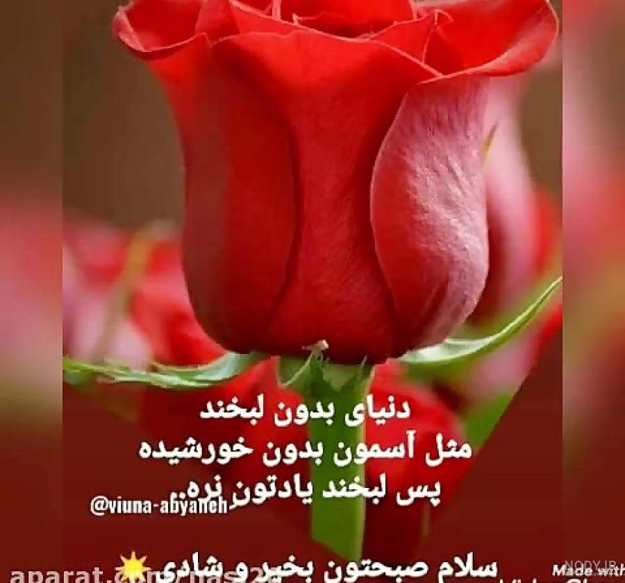 عکس صبح بخیر برای واتساپ - عکس نودی عکس صبح بخیر برای واتساپ - عکس نودی