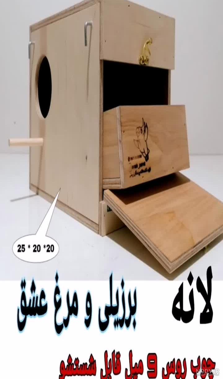 عکس لانه مرغ عشق عکس لانه مرغ عشق