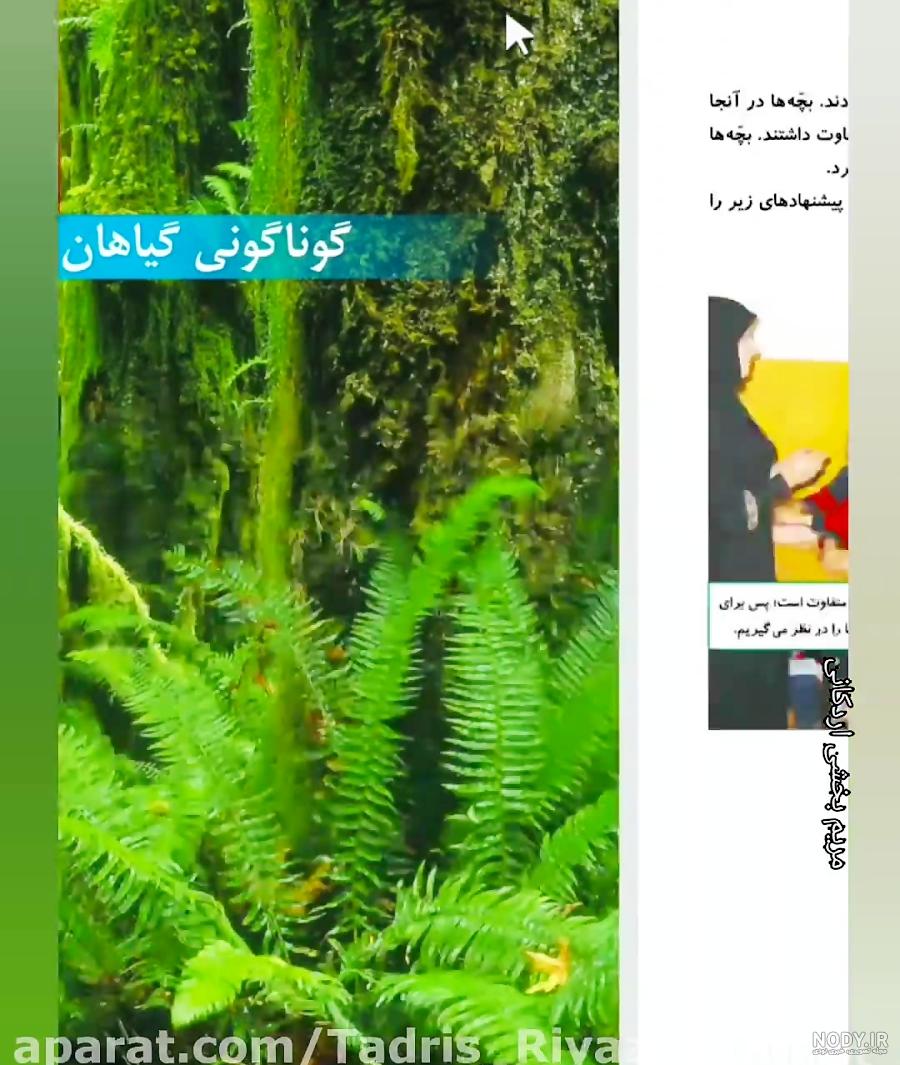عکس گیاه ۱۴۰۰ - عکس نودی عکس گیاه ۱۴۰۰ - عکس نودی