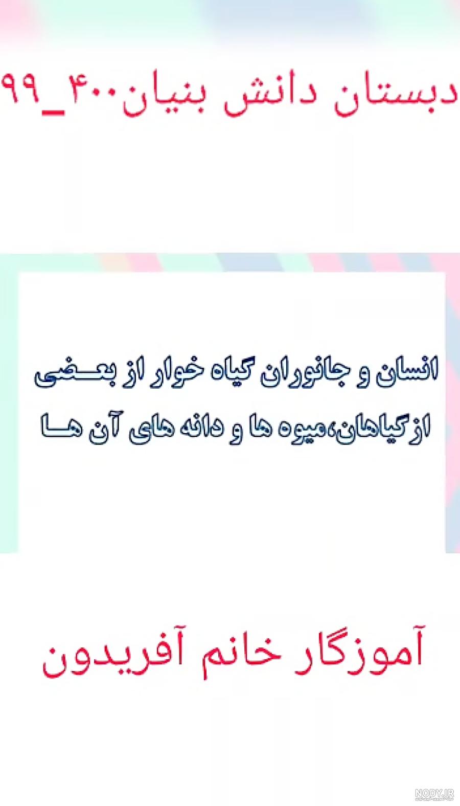 عکس گیاهان دو لپه ای - عکس نودی عکس گیاهان دو لپه ای - عکس نودی