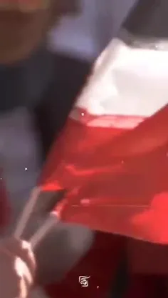 فریده مرادخانی بازداشت شد - دستگیری خواهرزاده رهبر ایران به چه معناست؟