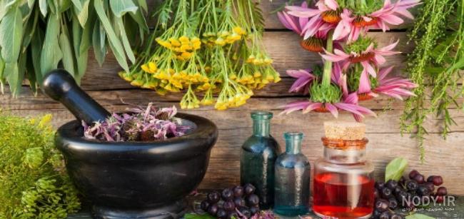 ماشین عشقه شوتی کفخوای405 پار الیکس - ویدیو ‌برگر
