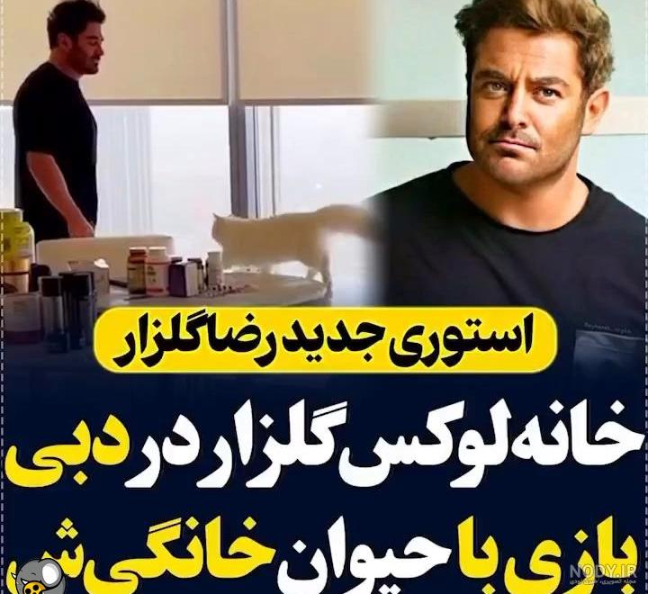 محمدرضا گلزار محمدرضا گلزار