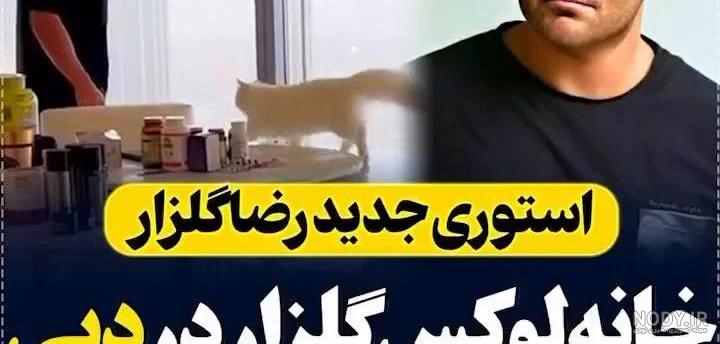 محمدرضا گلزار محمدرضا گلزار