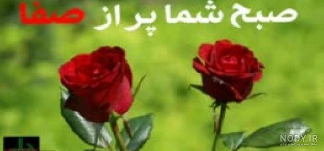 کلیپ صبح بخیر برای وضعیت واتساپ / استوری واتساپ کلیپ صبح بخیر برای وضعیت واتساپ / استوری واتساپ