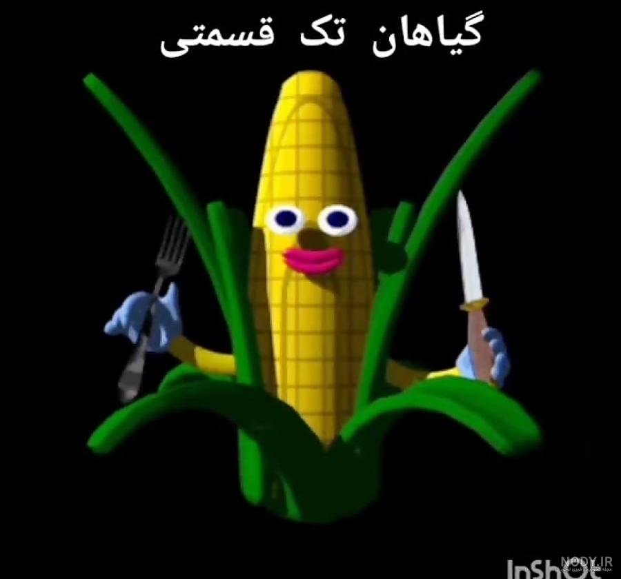 گیاهان تک لپه ای و دو لپه ای. علوم چهارم گیاهان تک لپه ای و دو لپه ای. علوم چهارم