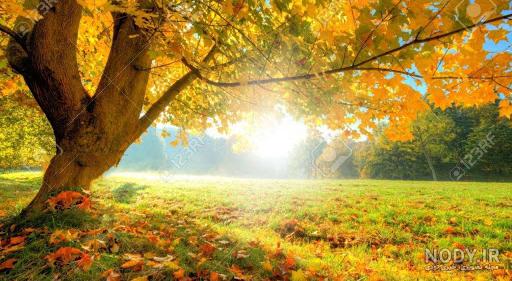 عکس صبح بخیر پاییزی عاشقانه