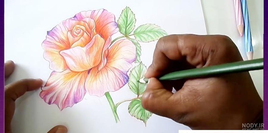Mp4.ir | نقاشی گل با مداد رنگی