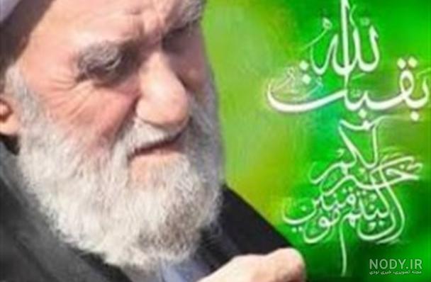 تصاویر/ تشییع پیکر آیت الله ناصری در حرم حضرت امیرالمؤمنین(ع) تصاویر/ تشییع پیکر آیت الله ناصری در حرم حضرت امیرالمؤمنین(ع)