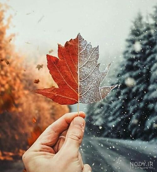 عکس های زیبای ماهگرد نوزادان با تم یلدا و پاییز - مجله چند ماهمه عکس های زیبای ماهگرد نوزادان با تم یلدا و پاییز - مجله چند ماهمه