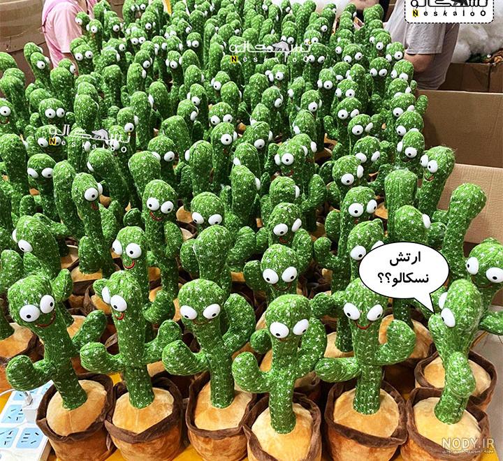 عکس کاکتوس شارژی
