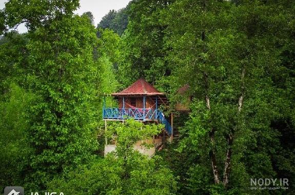 عکس کلبه های رویایی چوبی و جنگلی به شکل خانه هابیت ها