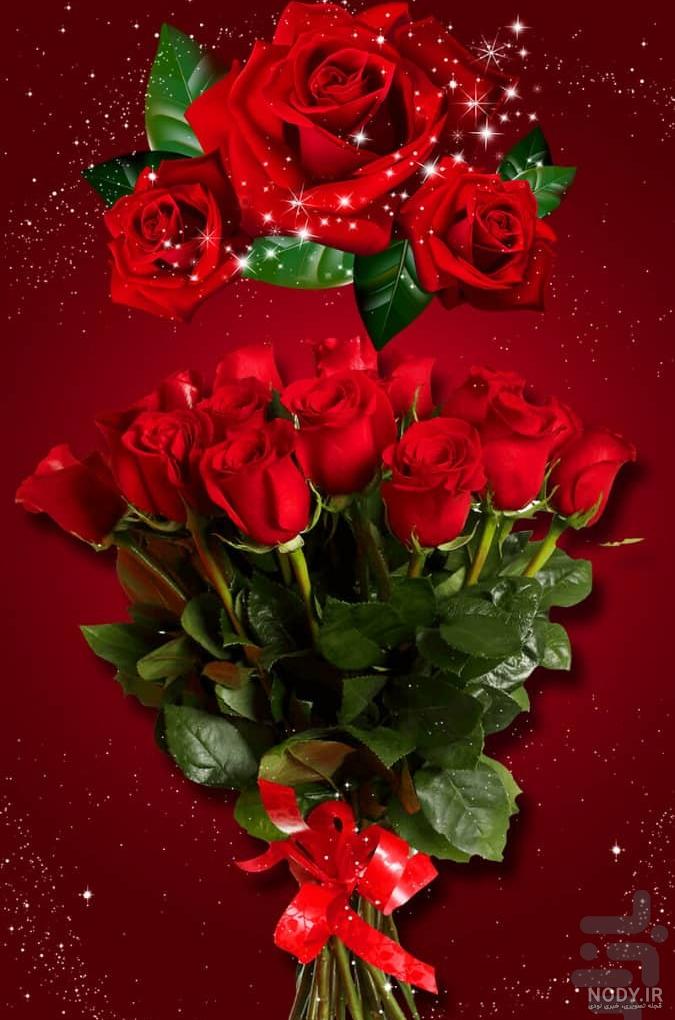 عکس گل رز ابی برای پس زمینه گوشی عکس گل رز ابی برای پس زمینه گوشی