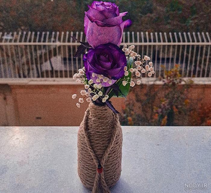 عکس گل رز برای تصویر زمینه گوشی عکس گل رز برای تصویر زمینه گوشی