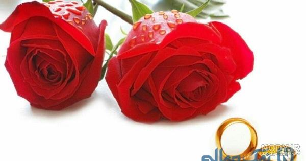 متن سالگرد ازدواج برای استوری فوق العاده عاشقانه تبریک به همسر متن سالگرد ازدواج برای استوری فوق العاده عاشقانه تبریک به همسر