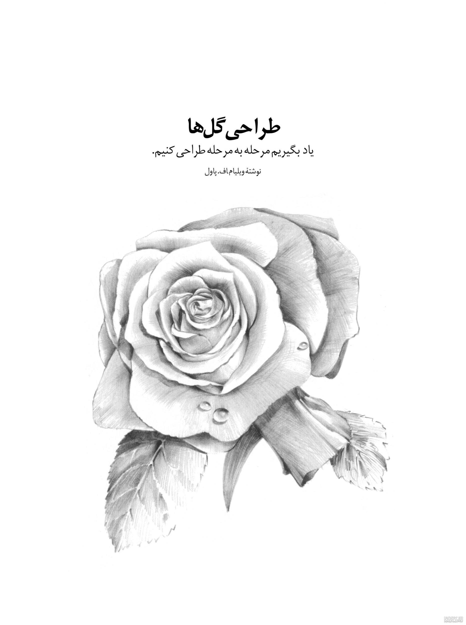نقاشی گل حرفه ای - عکس نودی