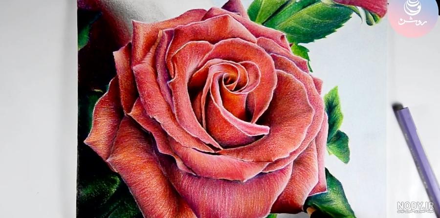 نقاشی گل حرفه ای - عکس نودی
