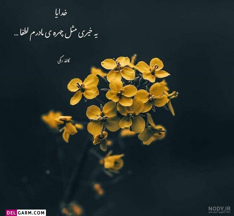 عکس پروفایل خدایا شکرت جدید