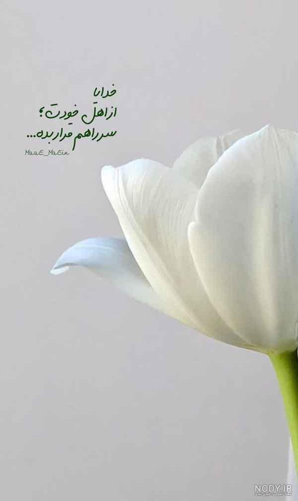 عکس پروفایل خدایا شکرت جدید