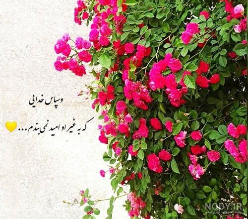 عکس پروفایل خدایا شکرت جدید