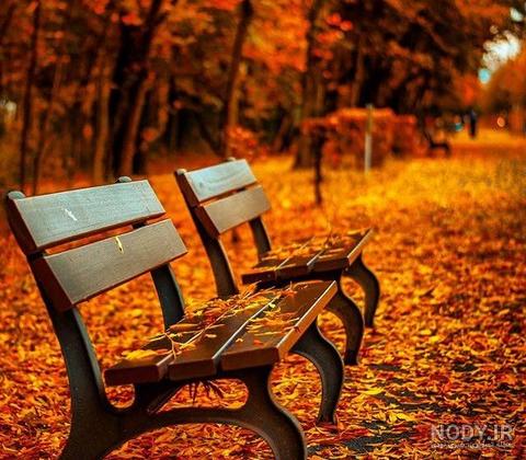 77 عکس زیبا و رویایی پاییز برای بک گراند و پروفایل 77 عکس زیبا و رویایی پاییز برای بک گراند و پروفایل