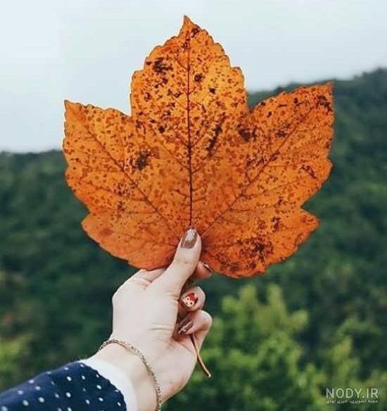77 عکس زیبا و رویایی پاییز برای بک گراند و پروفایل 77 عکس زیبا و رویایی پاییز برای بک گراند و پروفایل