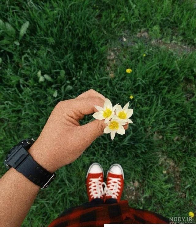 90 عکس گل و منظره زیبا برای پروفایل 2024؛ بدون متن/ بینظیر/ واقعا ...