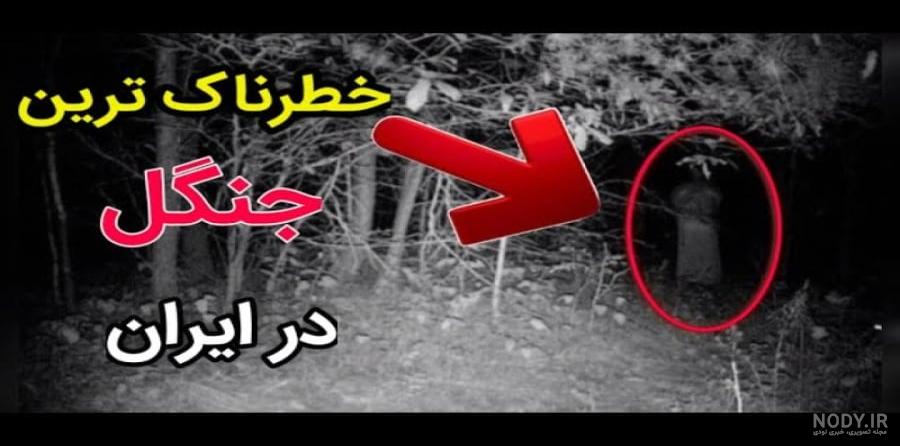 جنگل جیغ از مکانهای ترسناک انگلستان (+تصاویر) جنگل جیغ از مکانهای ترسناک انگلستان (+تصاویر)