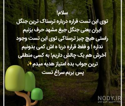 جنگل جیغ مشهد؛ راز صدای جنگل جیغ چیست؟ جنگل جیغ مشهد؛ راز صدای جنگل جیغ چیست؟