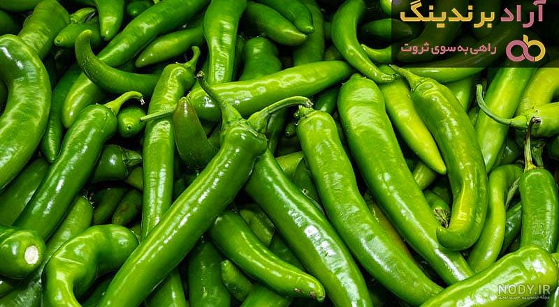 خواص فلفل سبز- با خواص انواع فلفل سبز آشنا شوید و آن ها را بشناسید ... خواص فلفل سبز- با خواص انواع فلفل سبز آشنا شوید و آن ها را بشناسید ...