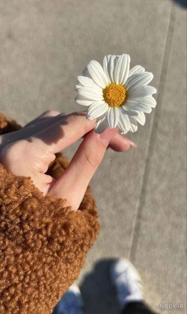 عکس دختر با گل برای پروفایل 1401 | باکلاس عکس دختر با گل برای ... عکس دختر با گل برای پروفایل 1401 | باکلاس عکس دختر با گل برای ...