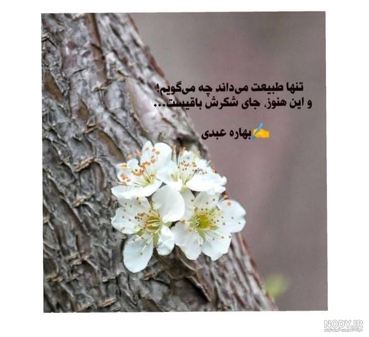 عکس طبیعت همراه با متن - عکس نودی