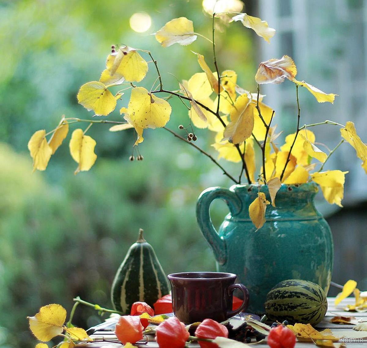 عکس منظره + عکس نوشته و تصاویر بدون نوشته منظره برای پروفایل و استوری