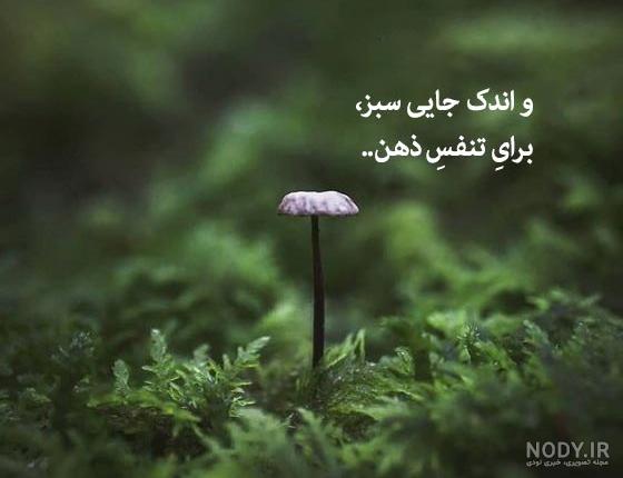 عکس نوشته طبیعت خدا