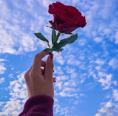 عکس پروفایل دختر با دسته گل در طبیعت | تاوعکس عکس پروفایل دختر با دسته گل در طبیعت | تاوعکس