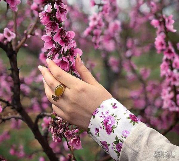 عکس پروفایل زیبا بدون نوشته طبیعت - عکس نودی