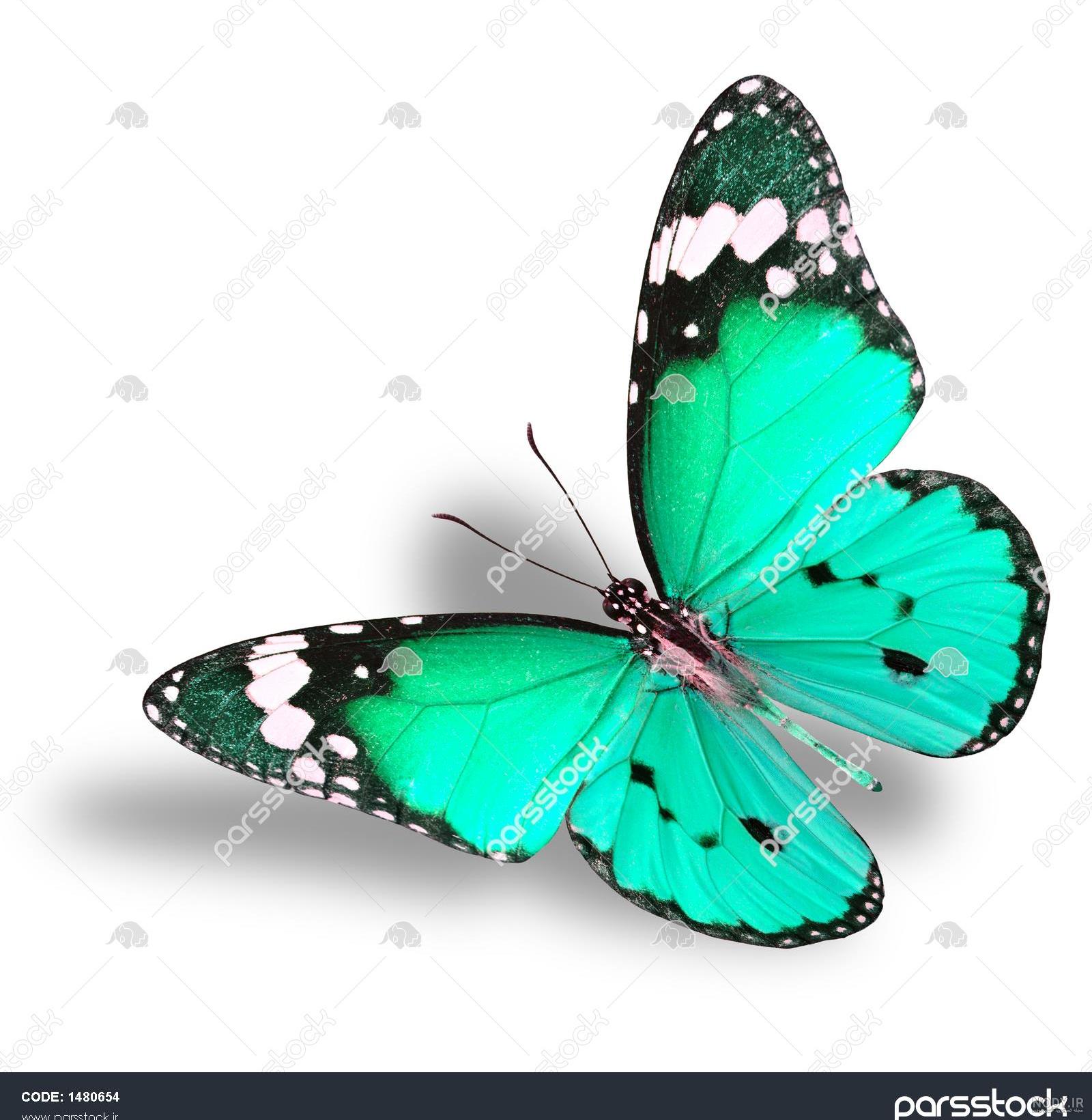 عکس پروفایل آبی دخترانه شاخ