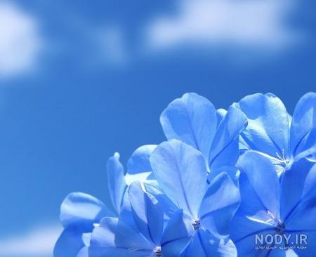 عکس خفن 78 عکس پروفایل آبی ساده