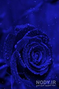 عکس پروفایل آبی دخترانه شاخ