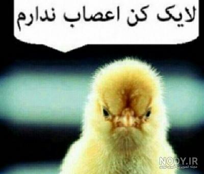 20 متن کپشن برای لایک گرفتن از فالوورهای اینستا 20 متن کپشن برای لایک گرفتن از فالوورهای اینستا