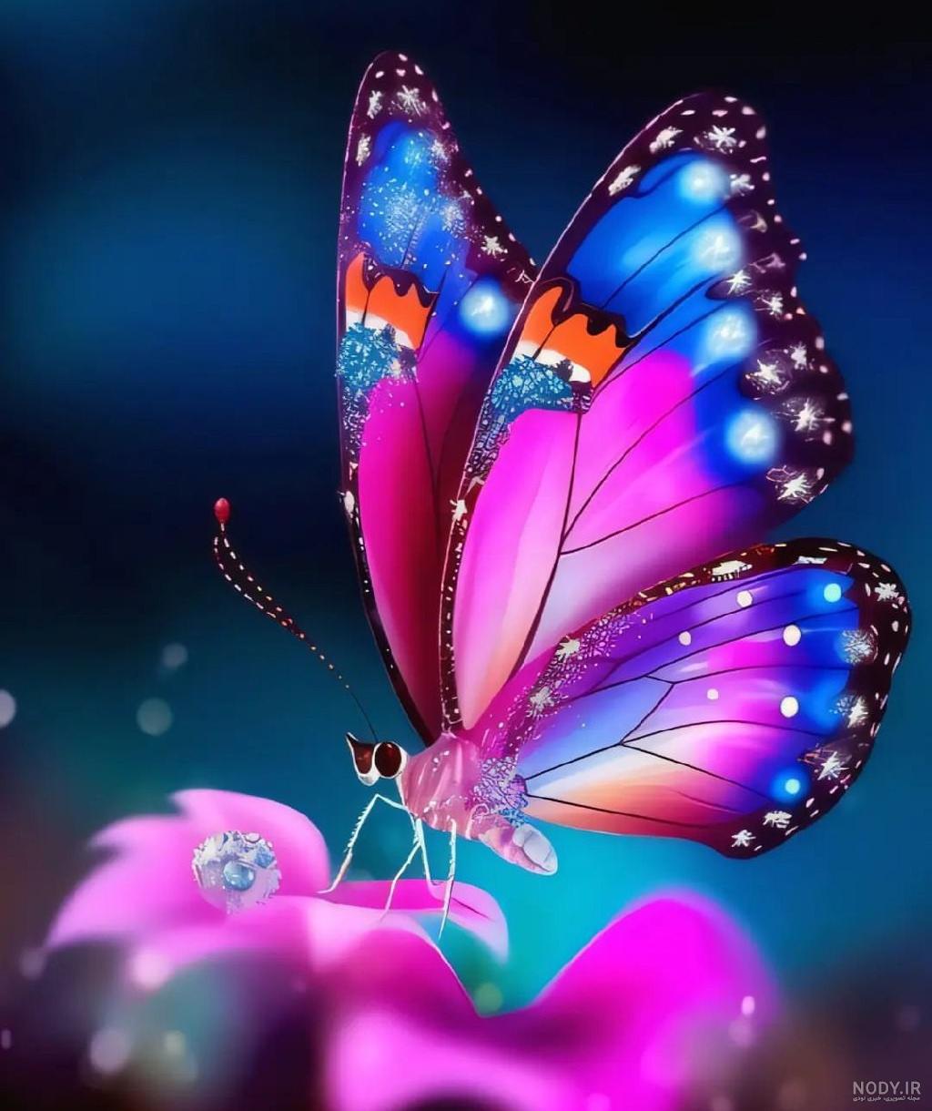 دانلود عکس پروانه خوشگل