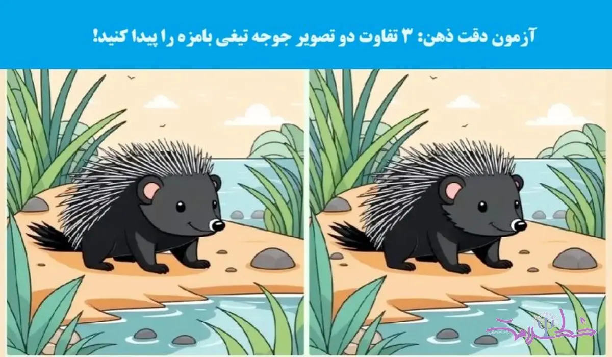 عکس : جوجه تیغی، کوچولوی زیبا و گاهی خطرناک