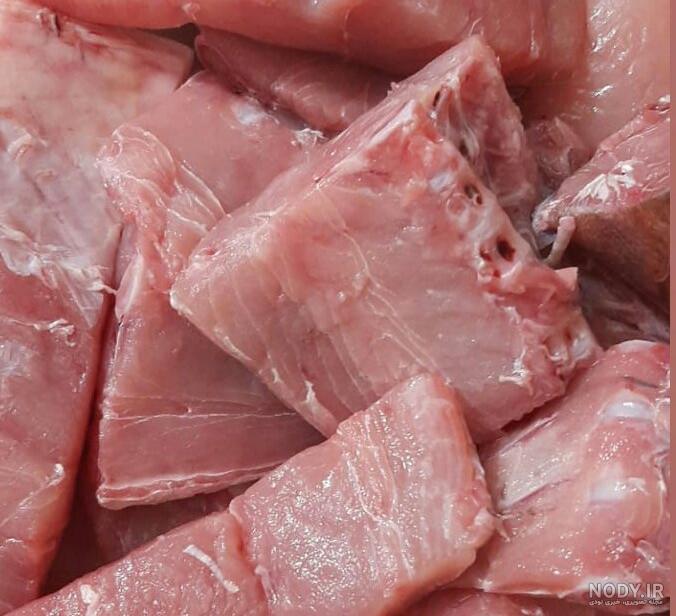 عکس از ماهی جنوب عکس از ماهی جنوب