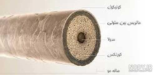 عکس ساختمان مو