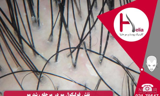عکس ساختمان موج های آبی عکس ساختمان موج های آبی