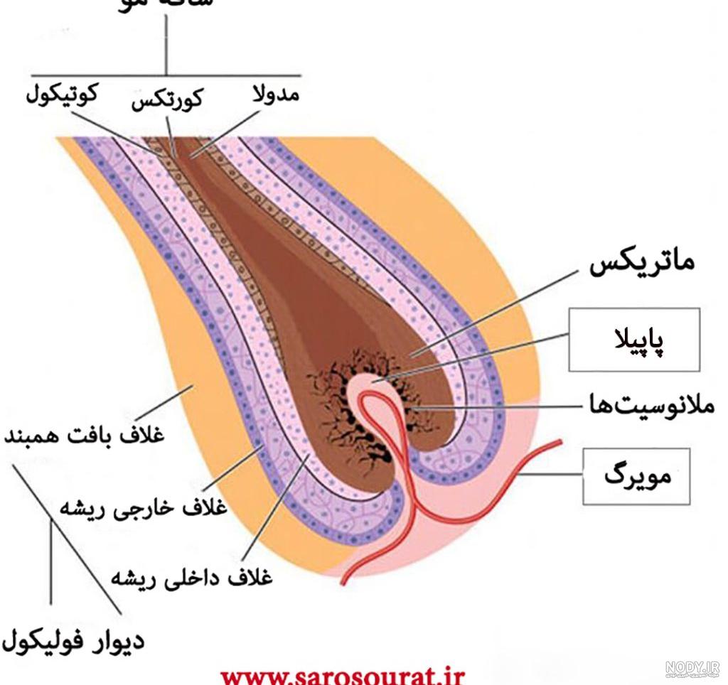 عکس ساختمان موساد عکس ساختمان موساد