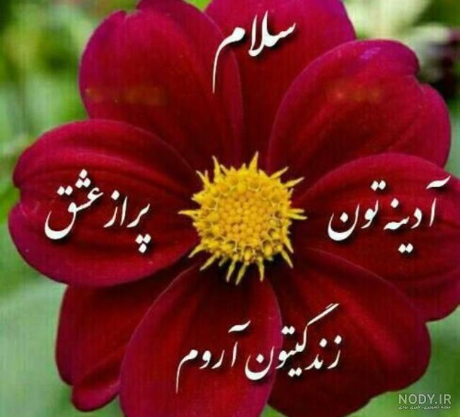 عکس صبح بخیر همراه با دعا خیر و معنوی جدید و زیبا برای استوری عکس صبح بخیر همراه با دعا خیر و معنوی جدید و زیبا برای استوری